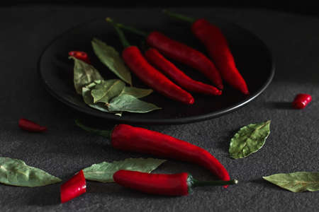 chili pepper and bay leaf on a dark stone background. Herbs and spices fresh and dried. Dark still...
