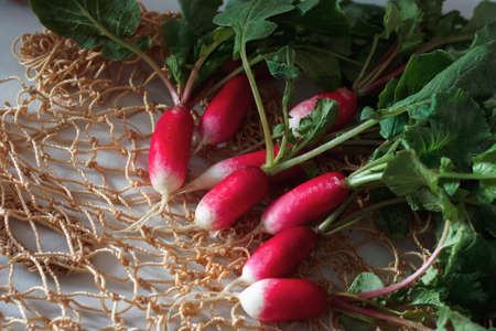 Fresh red radish and knitted bag for products. Growing organic vegetables. A bunch of raw fresh...
