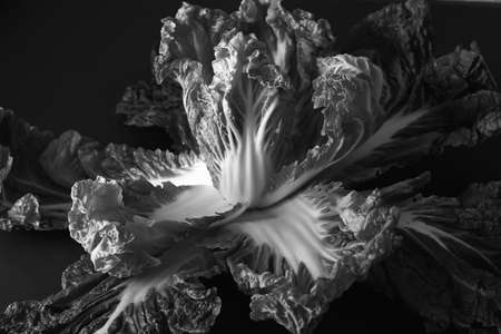 Peking cabbage in a wooden box on a rustic background. Diet proper nutrition. Vegetables and fruits....
