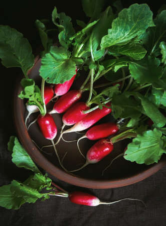 Top view fresh red radish on old wooden table. Growing organic vegetables. A bunch of raw fresh...