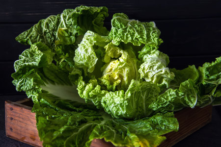 Fresh Chinese cabbage in a cut on a dark wooden background. Diet nutrition. Vegetables and fruits. Dark Food Photographyの写真素材