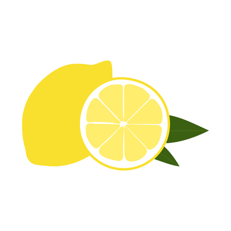Vector illustration of lemon. のイラスト素材