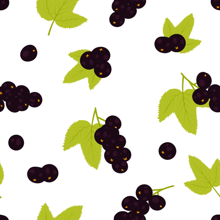 Black currant patternのイラスト素材