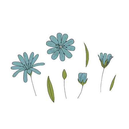 Vector set of isolated flowers on white background. Floral vector elements collection.のイラスト素材