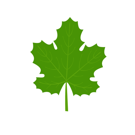 Vector grape leaf.のイラスト素材