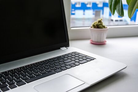 cactus in a pot on a background of a laptop on a windowsillの写真素材