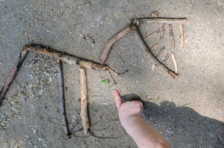 dinosaur skeleton laid out by a child from sticks on asphaltの写真素材