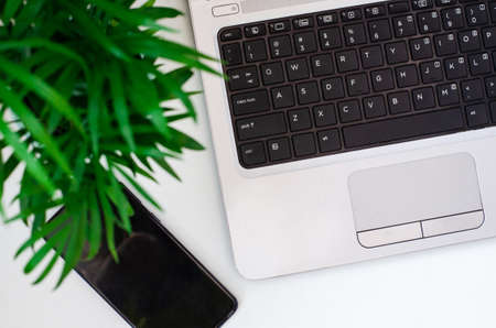 A cozy workplace. laptop, phone and home flower