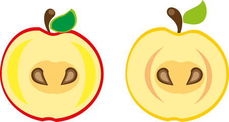 Creative design of  apple のイラスト素材