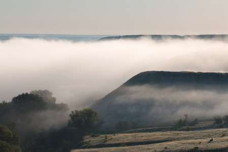 Spring river foggy  
