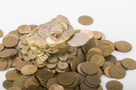 Monetary frogの写真素材