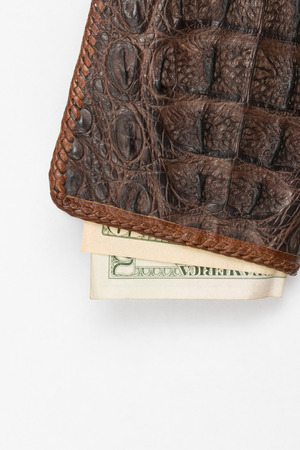 Hand made purse from alligator skin with moneyの写真素材