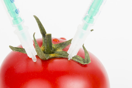 Tomato の写真素材