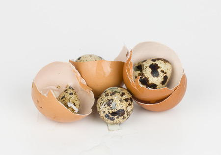 Broken egg - Stock Image macro.