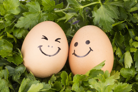 Parsley and eggs - Stock Image macro.の写真素材