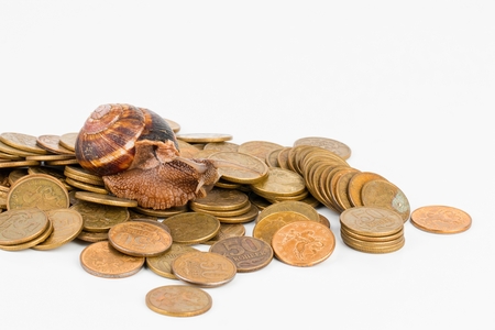 Coins and snail - Stock image macro.