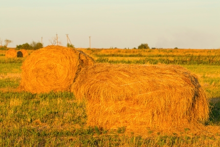 Summer Farm Scenery with Haystack.の写真素材