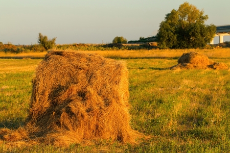 Summer Farm Scenery with Haystack.の写真素材