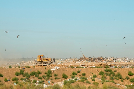 Rostov - on - Don, Russia - August 26, 2015: Birds over the Heap of garbage in dump, established in Rostov - on - Don.のeditorial素材