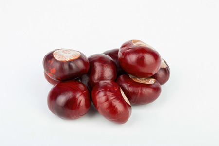 Horse chestnut. Stock image macro.の写真素材