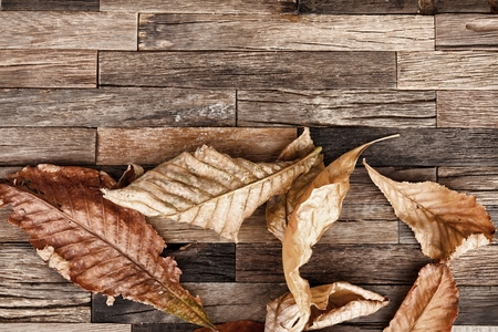 Autumn leaves on wooden background. Stock image macro.の写真素材