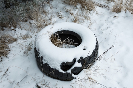 Old tires in the forest. Polluting the nature. Stock image.の写真素材