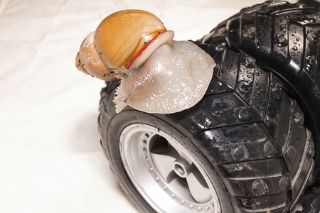 Beautiful snail on black wheel. Macro shot.の写真素材