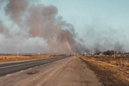 Burning steppe along the road. Burns dry grass.の写真素材