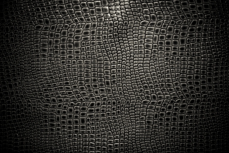 Crocodile leather texture background. Macro shot. Stock image.の写真素材