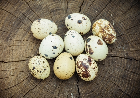 Group of quail eggs on wooden surface. Natural healthy food concept.の写真素材