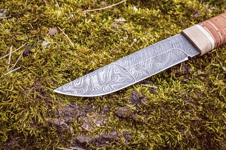Knife made from damask steel on green moss. Hunting concept.の写真素材