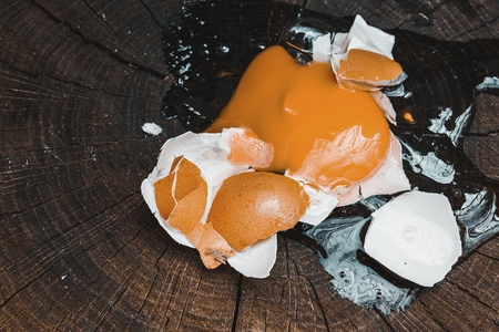 Broken egg on old stump in forest. Natural healthy food concept.の写真素材