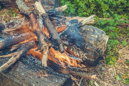 Bonfire in the forest. Burning campfire logs.の写真素材