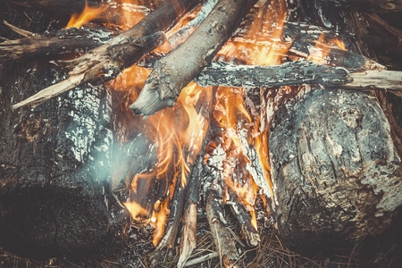 Bonfire in the forest. Burning campfire logs.