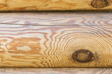 Wooden logs wall texture background. Macro shot.