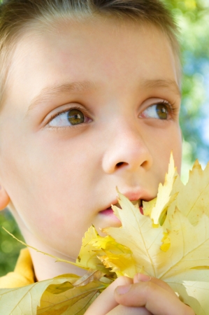 closeup autumn portrait of a little boy outdoorsの写真素材