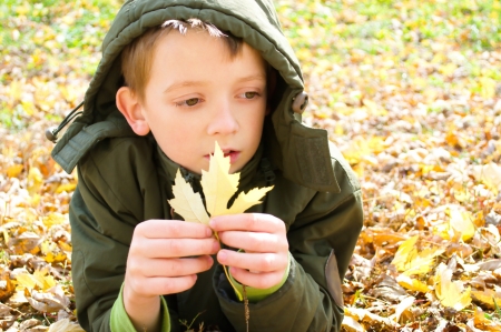 closeup autumn portrait of a little boy outdoorsの写真素材