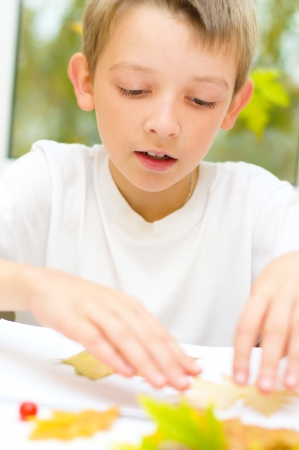 little boy applying a dry maple leaves using glue while doing arts and crafts in schoolの写真素材
