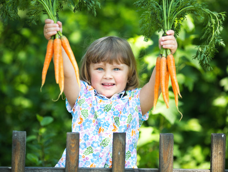 Gardening, planting -little girl holding bunch of organic carrotsの写真素材