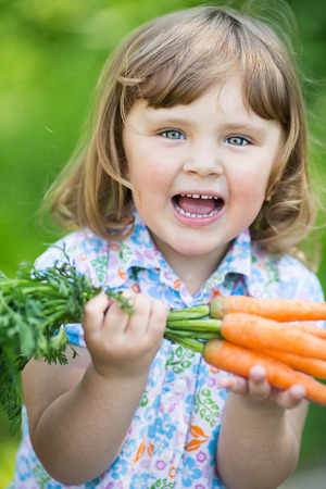 Gardening, planting -little girl holding bunch of organic carrotsの写真素材