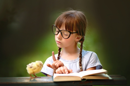 Cute little girl is reading a book to couple yellow chickens outdoorsの写真素材