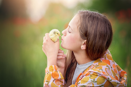 Cute little girl with her little chicken outdoorsの写真素材