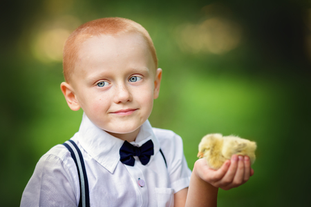 Cute little boy with yellow chickens outdoors