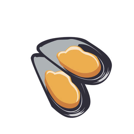 Two vector oysters in shells isolated on a white backgroundのイラスト素材