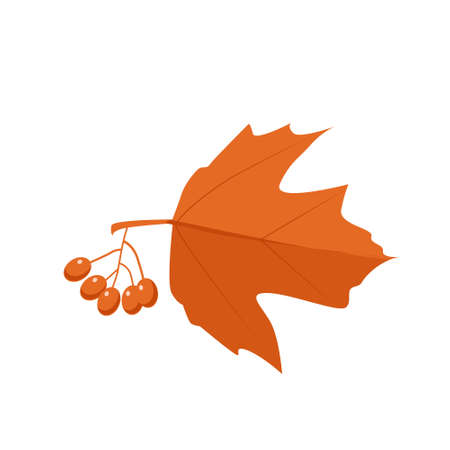Vector autumn orange viburnum leaf with berries in cartoon style on a white background. The world of natureのイラスト素材