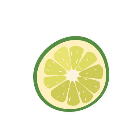 A round juicy slice of lime, isolated on a white background. Healthy and vitamin-rich fruits. Vector...