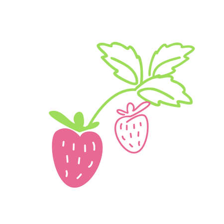 Vector pink strawberry with green leaves in doodle style, isolated on a white background. Decoration for childrenのイラスト素材