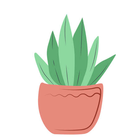 Homemade green plant in a pink potのイラスト素材