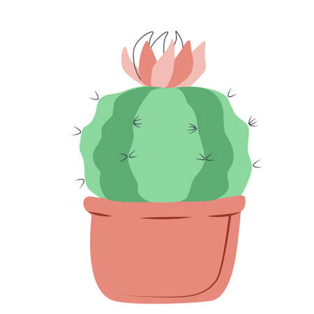 Round cactus with a flower in a potのイラスト素材