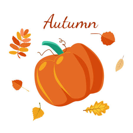 Autumn banner with an orange pumpkin and different autumn leaves on a white backgroundのイラスト素材